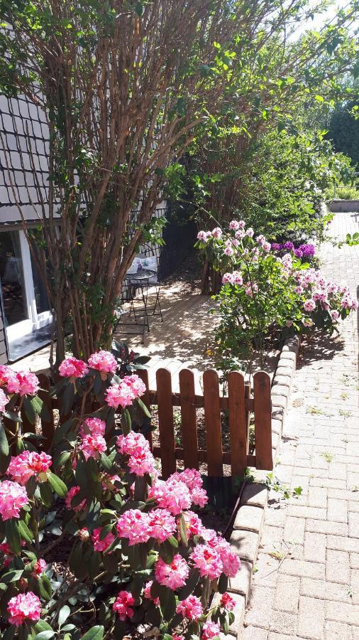 Ferienwohnung 43Qm Torf 10 Naehe Moehnesee 瓦尔施泰因 外观 照片